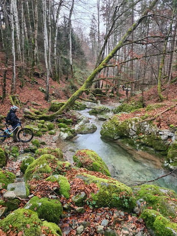 VTTiste forêt prêt traverser ruisseau, Pyrénées, Font-Romeu, Sensations Pyrénées.