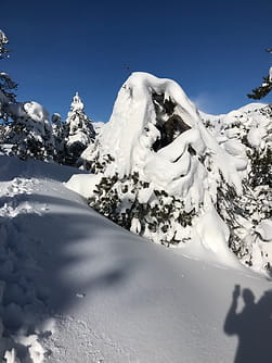 Paysage hivernal blanc avec des sapins enneigés le long du chemin menant au Pic de Ginèvre.