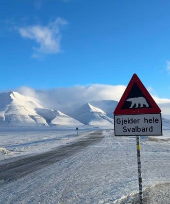 Ski de randonnée et motoneige au Svalbard : explorez glaciers, fjords et banquise, vivez une aventure arctique unique entre nature sauvage et paysages grandioses. Ski de randonnée et motoneige au Svalbard : explorez glaciers, fjords et banquise, vivez une aventure arctique unique entre nature sauvage et paysages grandioses.