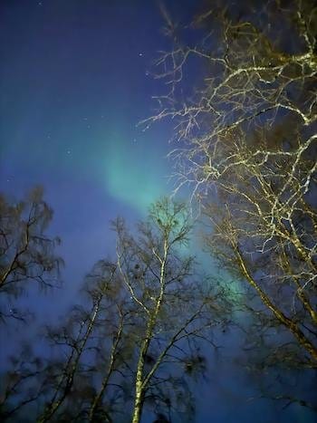 Aurore boréale au-dessus de Solhov dans les Alpes de Lyngen, Norvège. Aurore boréale au-dessus de Solhov dans les Alpes de Lyngen, Norvège.