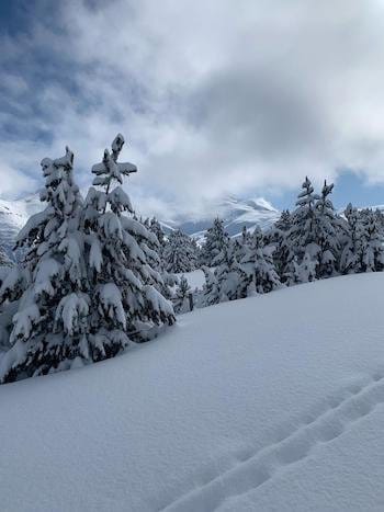 Paysage majestueux des Encantats dans le Parc National d'Aigüestortes i Estany de Sant Maurici, Espagne, avec ses sapins enneigés, raid de ski de randonnée avec le bureau des guides de Font-Romeu. Paysage majestueux des Encantats dans le Parc National d'Aigüestortes i Estany de Sant Maurici, Espagne, avec ses sapins enneigés, raid de ski de randonnée avec le bureau des guides de Font-Romeu.